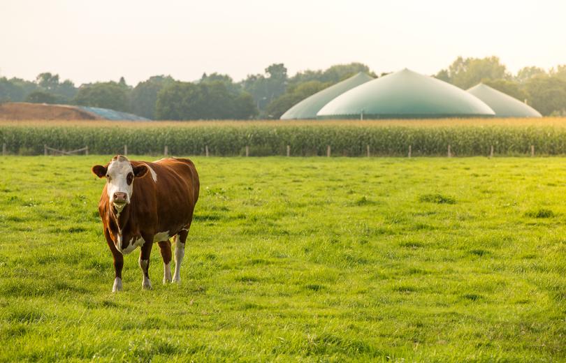 Le biogaz, quelle place en Belgique ?