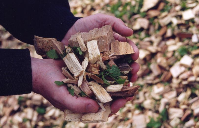 Plaquettes de bois - Chauffage au bois Plaquettes de bois - Chauffage au bois