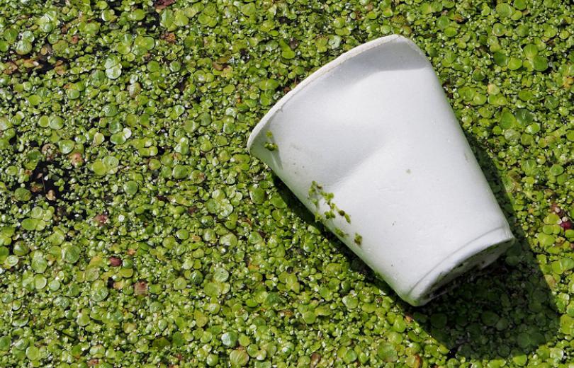 Bioplastiques Bioplastiques