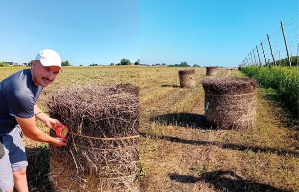 Suivi des essais de chanvre « fibres longues » 