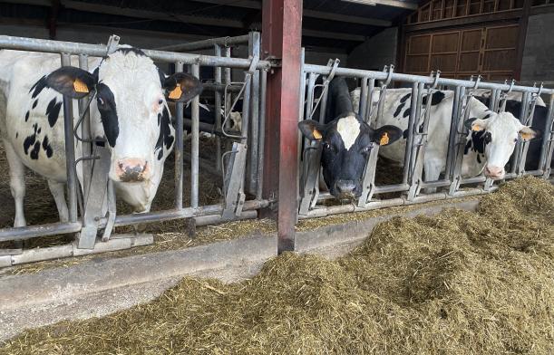 Ferme du Petit-Mont, Marbais Ferme du Petit-Mont, Marbais