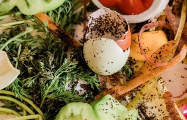 Biodéchets - Restes alimentaires