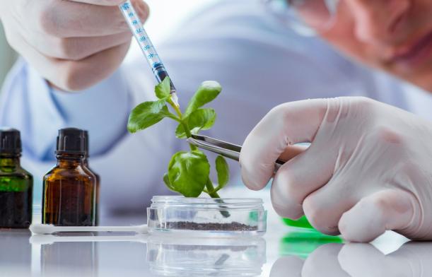 Chimie verte et biosourcée en Wallonie Chimie verte et biosourcée en Wallonie