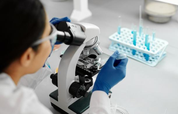 Propulser l'innovation dans le secteur Agroalimentaire avec la recherche Propulser l'innovation dans le secteur Agroalimentaire avec la recherche