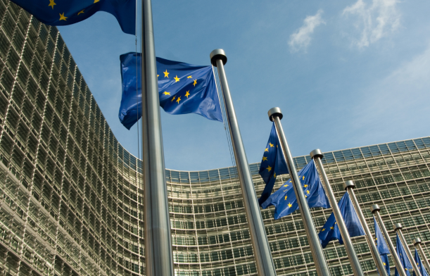 Bioéconomie : vers une nouvelle stratégie européenne