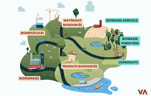 L'économie biosourcée selon Valbiom L'économie biosourcée selon Valbiom