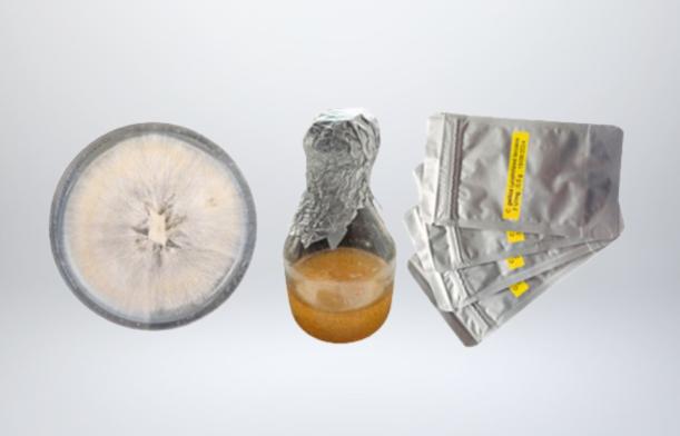 Produire du biométhane avec des laccases thermostables Produire du biométhane avec des laccases thermostables
