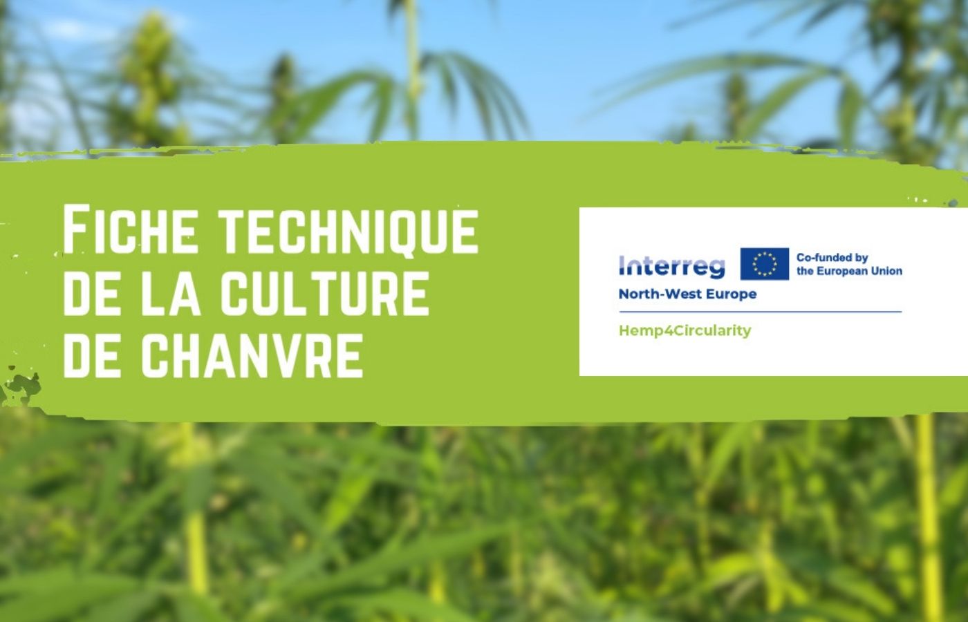 Fiche technique de la culture de chanvre - Hemp4Circularity