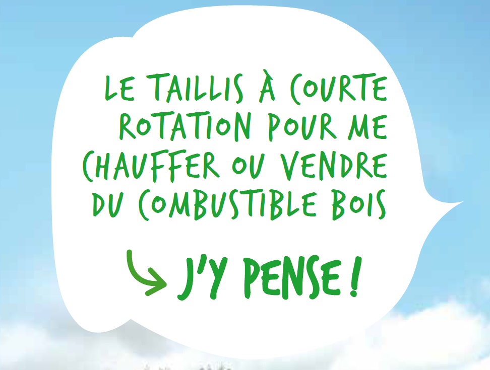 Le taillis à courte rotation pour me chauffer ou vendre du combustible bois, j'y pense ! Le taillis à courte rotation pour me chauffer ou vendre du combustible bois, j'y pense !