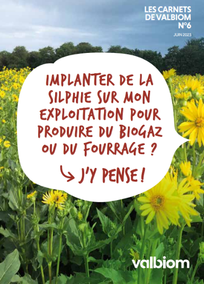 Implanter de la Silphie : j'y pense !