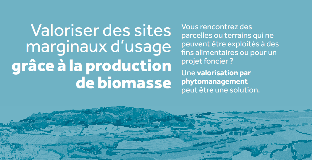 Le phytomanagement : valoriser des sites marginaux d'usage grâce à la production de biomasse