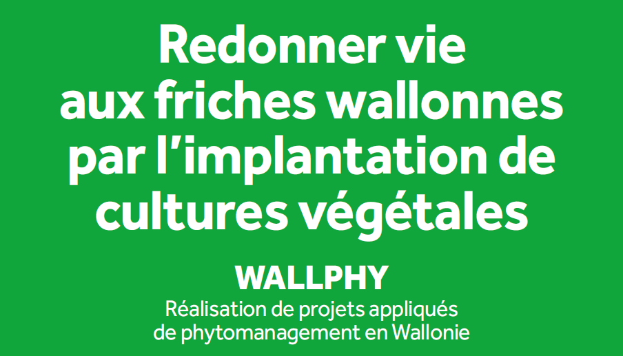 Wallphy : réalisation de projets appliqués de phytomanagement en Wallonie