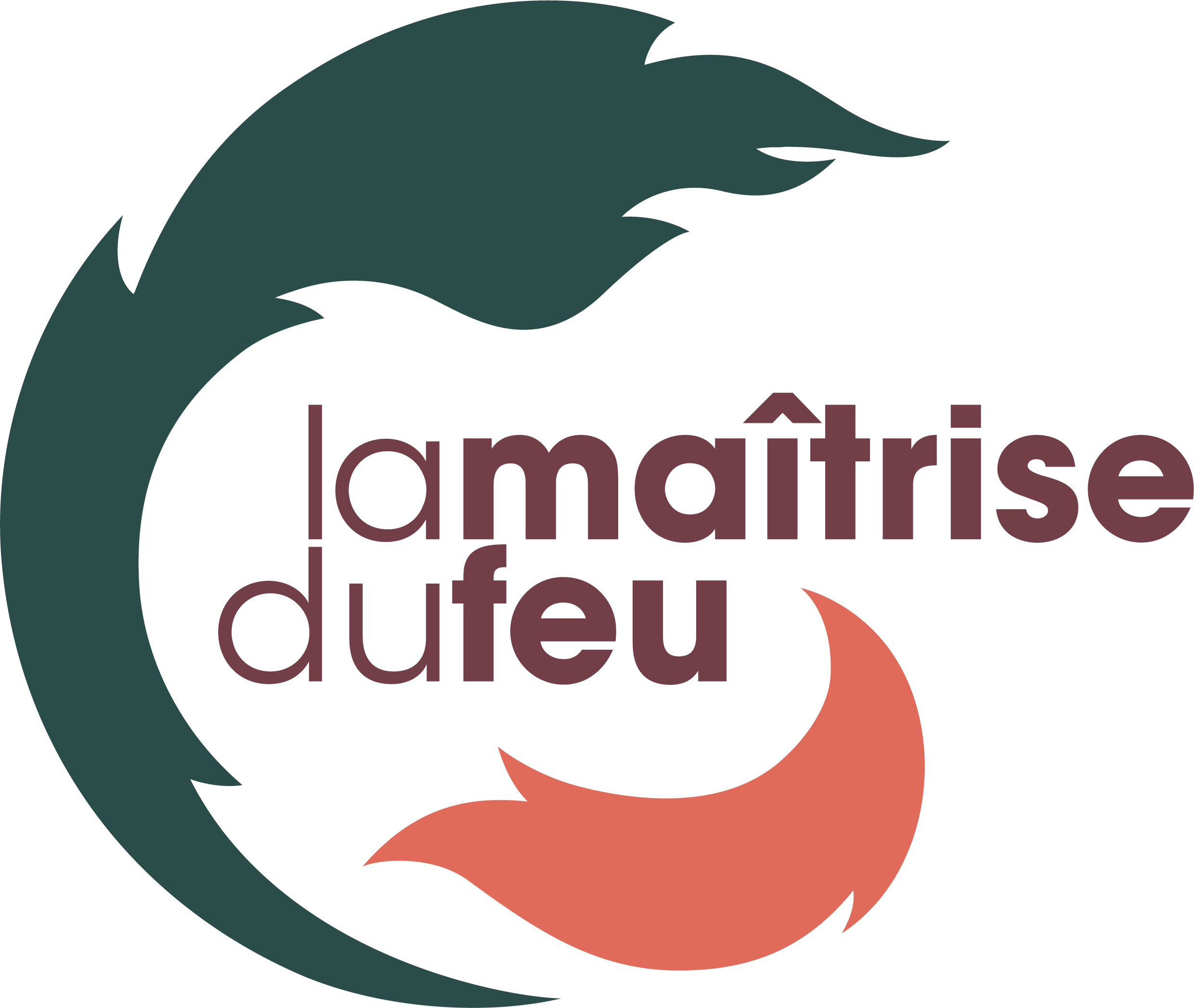 Logo LMDF